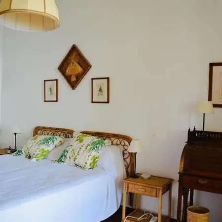 ヴィラ Casa Mimosa